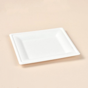 8”Square Tray