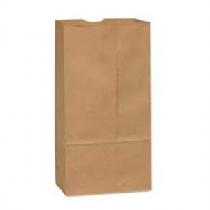WC 6 lb Kraft Paper Bag 6''x3''x11''  500