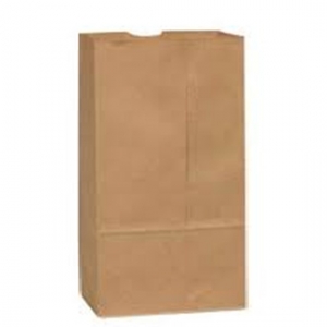 WC 525 Kraft Heavy Paper Bag 8.5''x6''x16'' 500